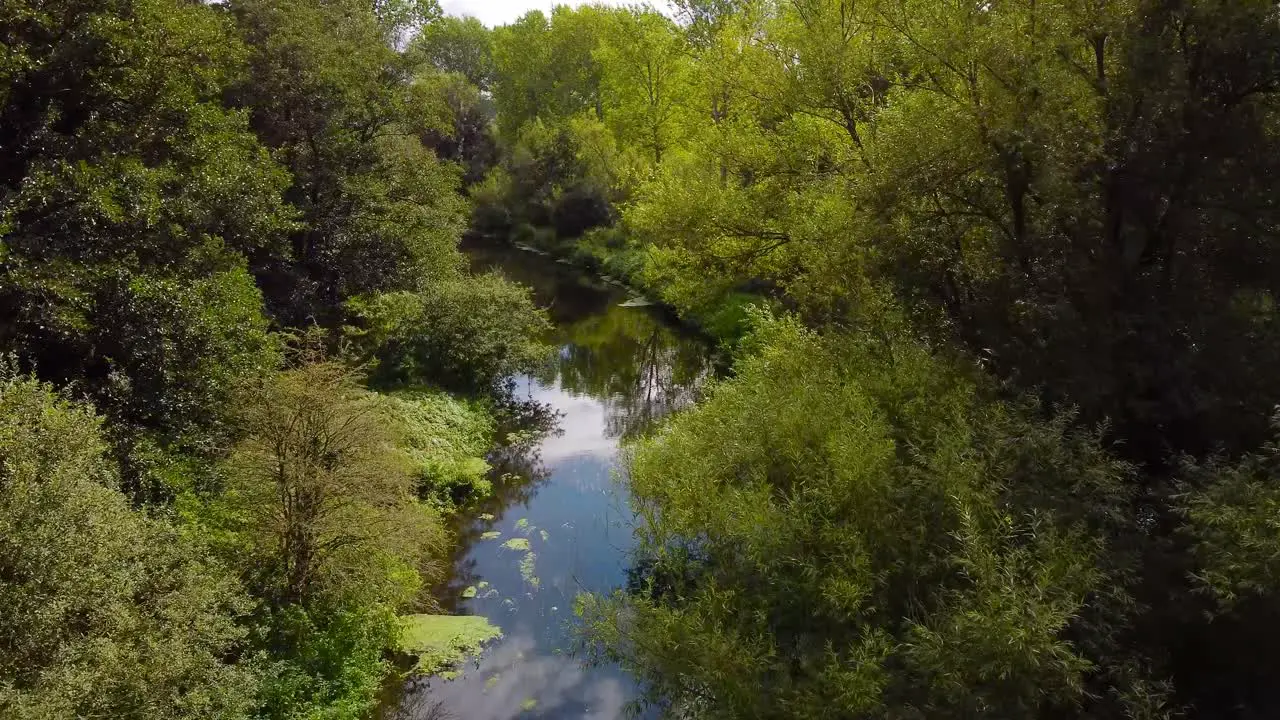 Aerial low-pass over the calm stream between the trees Little Ouse river near Thetford in the UK