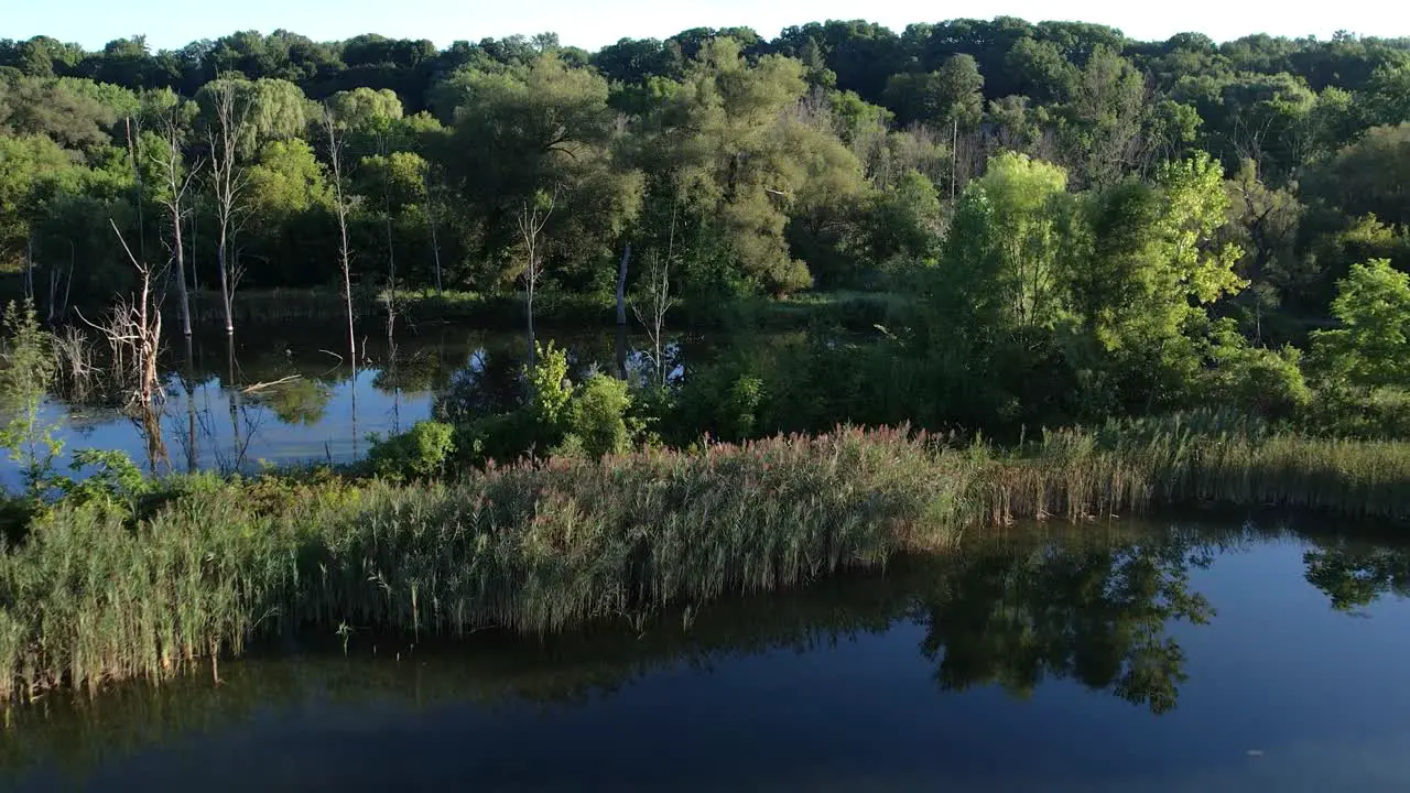 Aerial view of fishing pond and trees at Victor Village Park