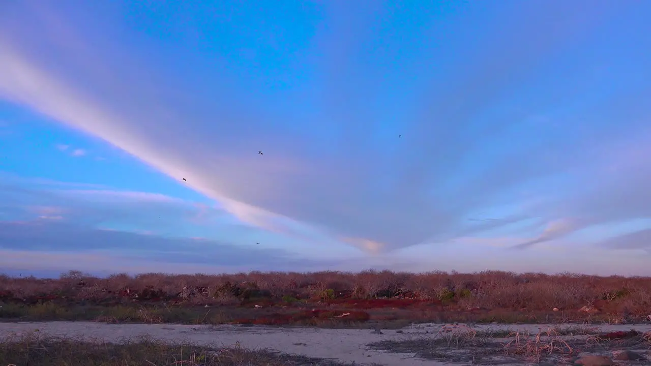 A wide angle of the Galapagos Islands with birds flying above