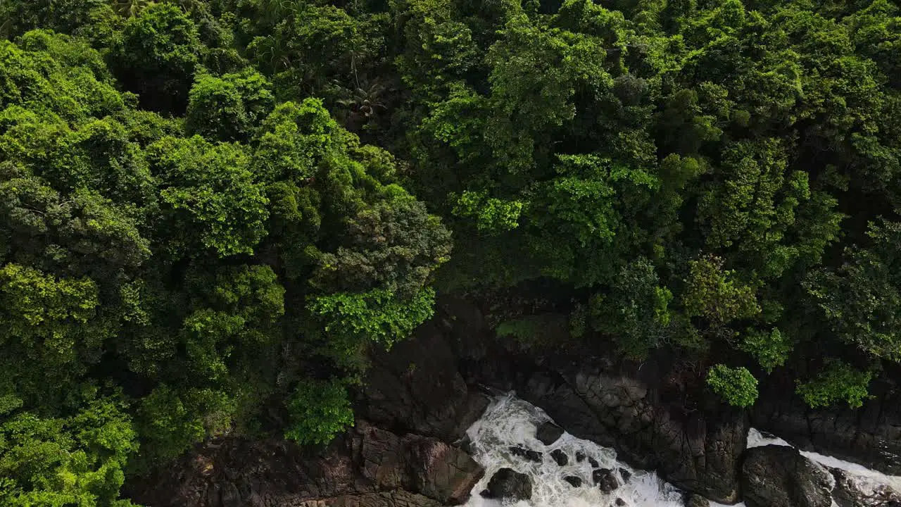 Birdseye aerial view above lush green treetop canopy rocky splashing coastal landscape tilt up to Thailand horizon