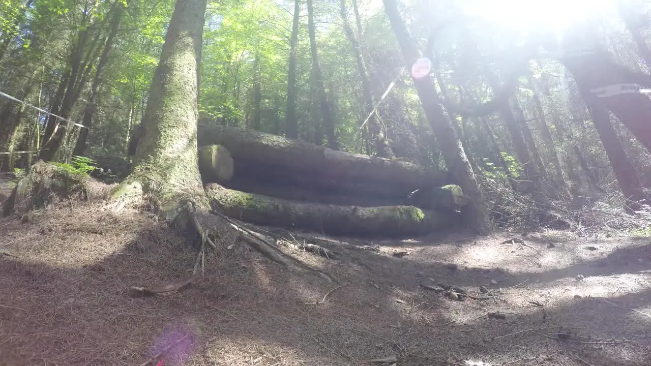 Mountain Biker riding downhill over built up dirt jump at high speed in forestry track