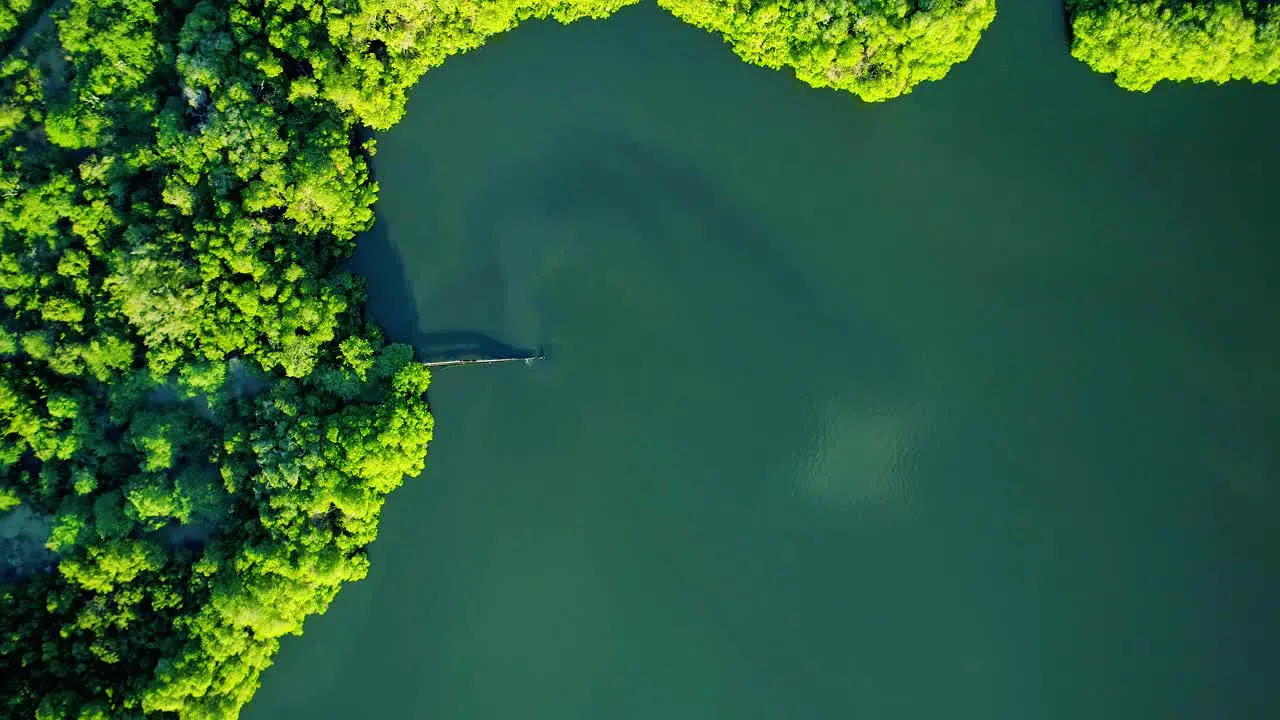 Aerial top down shot of rusty leaking pipe running into lake surrounded by mangroves dumping sewage