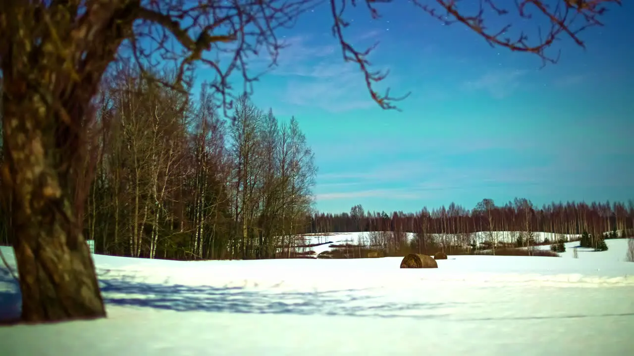 Tree casting shadow on pure white snow on cold sunny day day to dusk time lapse