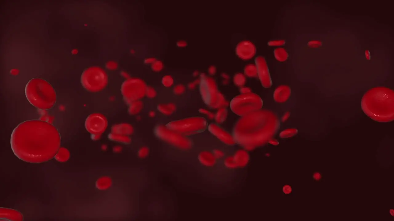 Digital animation of red blood cells in veins traveling in the blood inside the human body medical concept