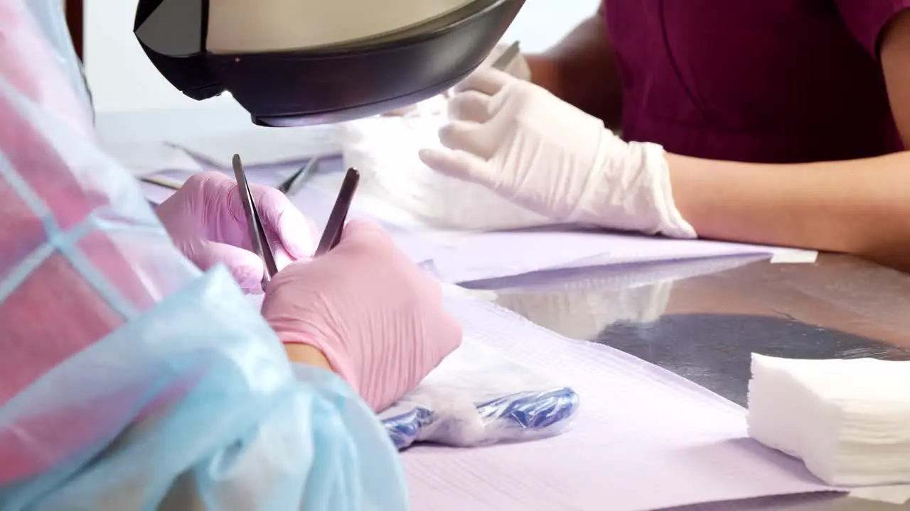 Two nurses working to prepare hair cell cultures using forceps medical instruments