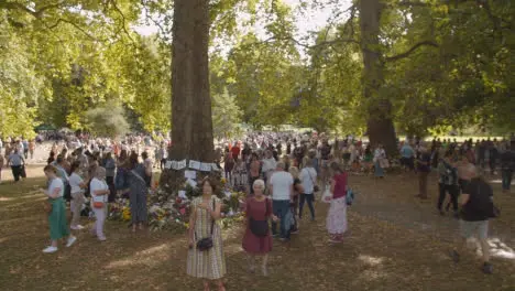 Panning Shot of Mourners In Green Park 