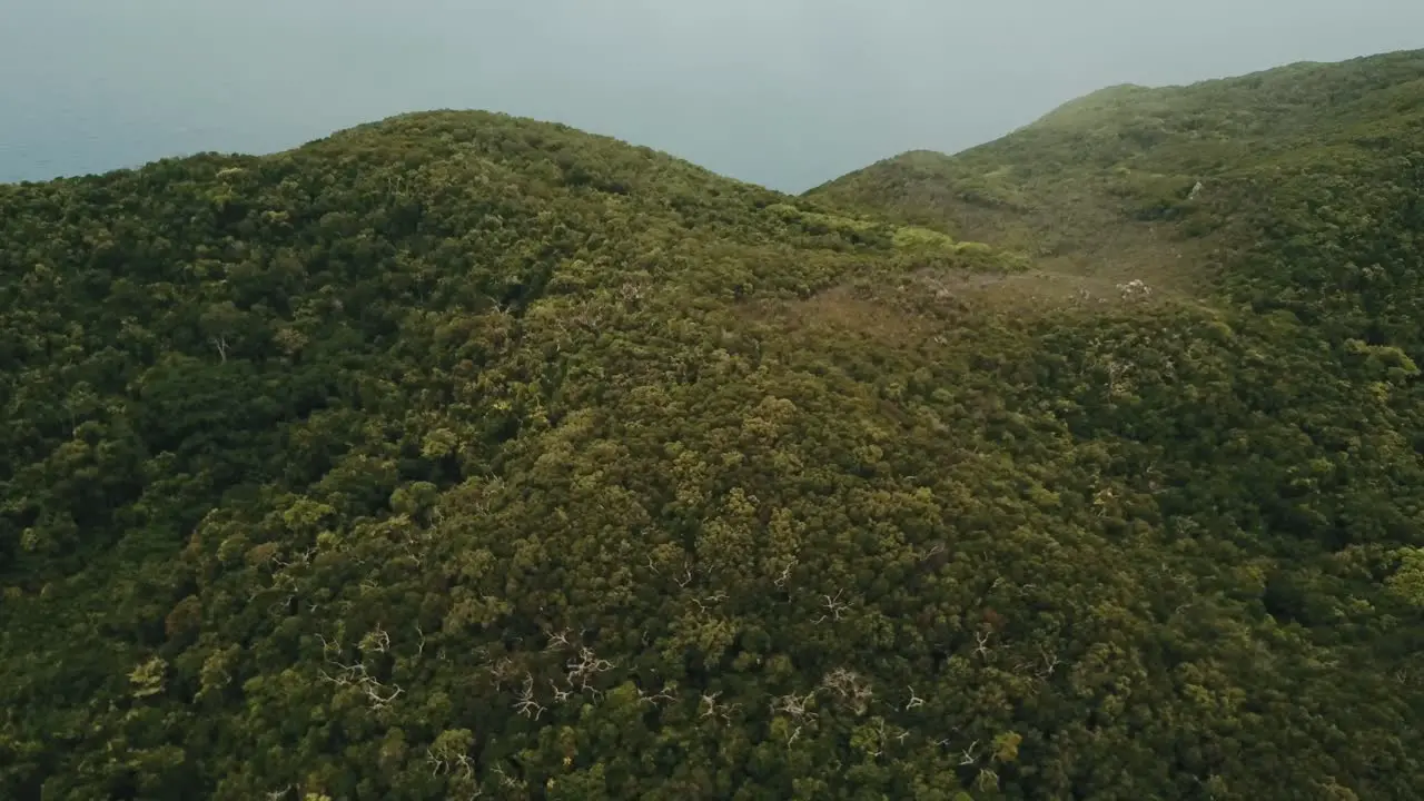 Drone aerial over tropical forest island panning up while in a cloud