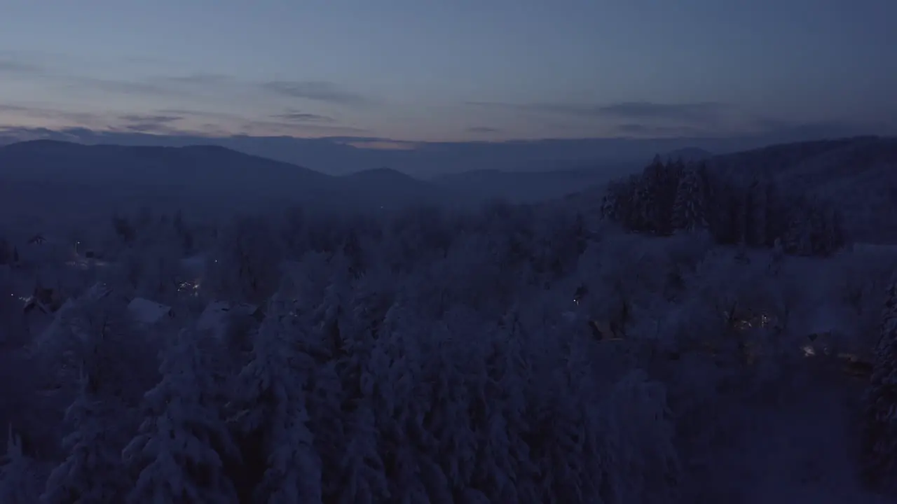 Drone moving forward over forest in low flight crossing trees really closely full of snow at night