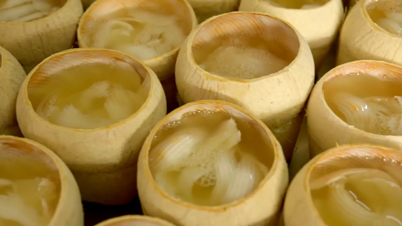 Coconut shells filled with coco jelly a traditional thai street food made with coconut pulp and coconut water jelly