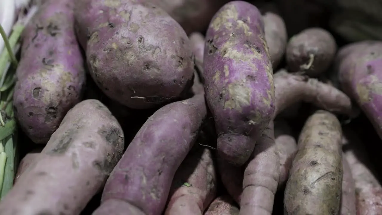 sweet potato at vegetable store for sale at evening