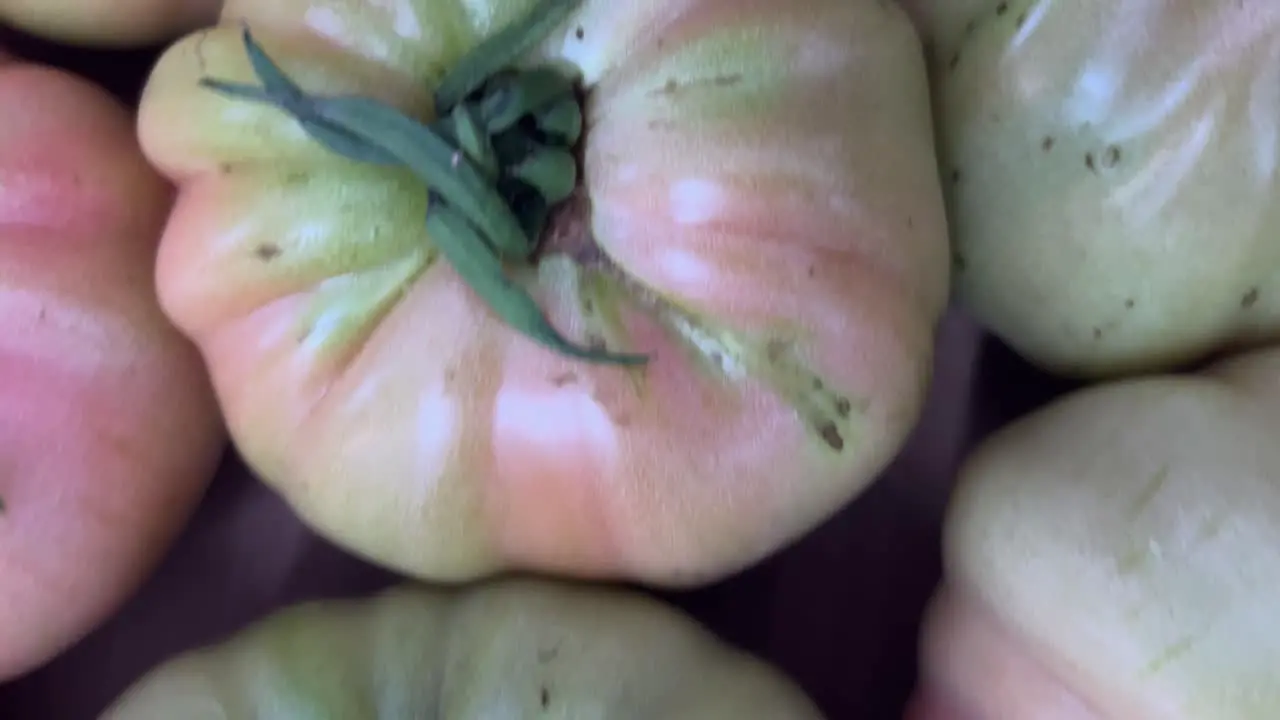 Video sequence of moving over basket filled with vegetables Spanish tomatoes