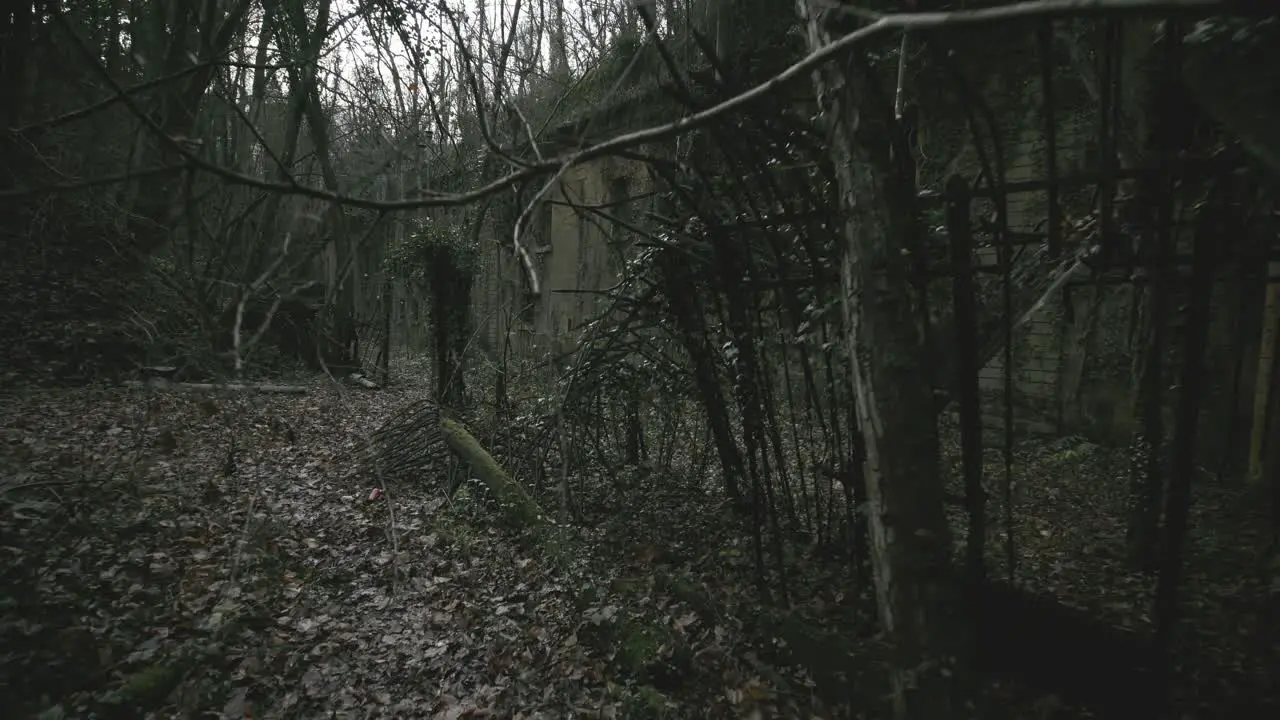 Abandoned hospital in middle of the forest which is part of military fortification's zone