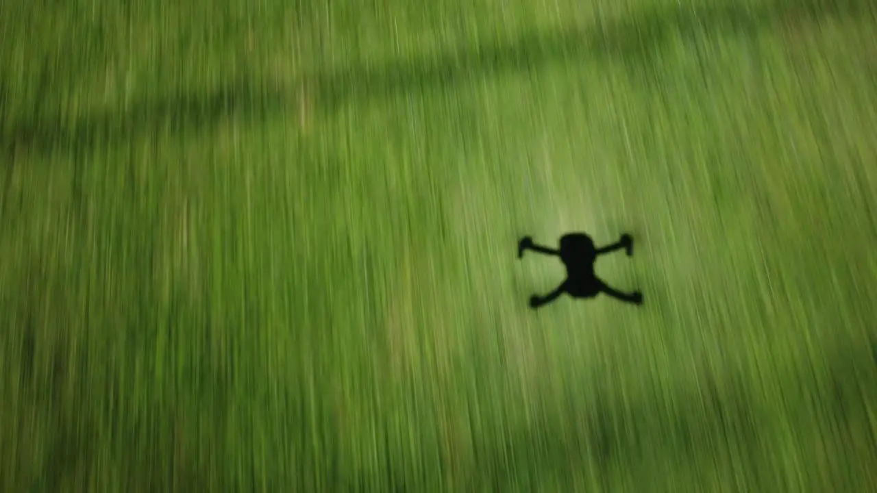 Shadow silhouette of drone flying above grass field into treeline