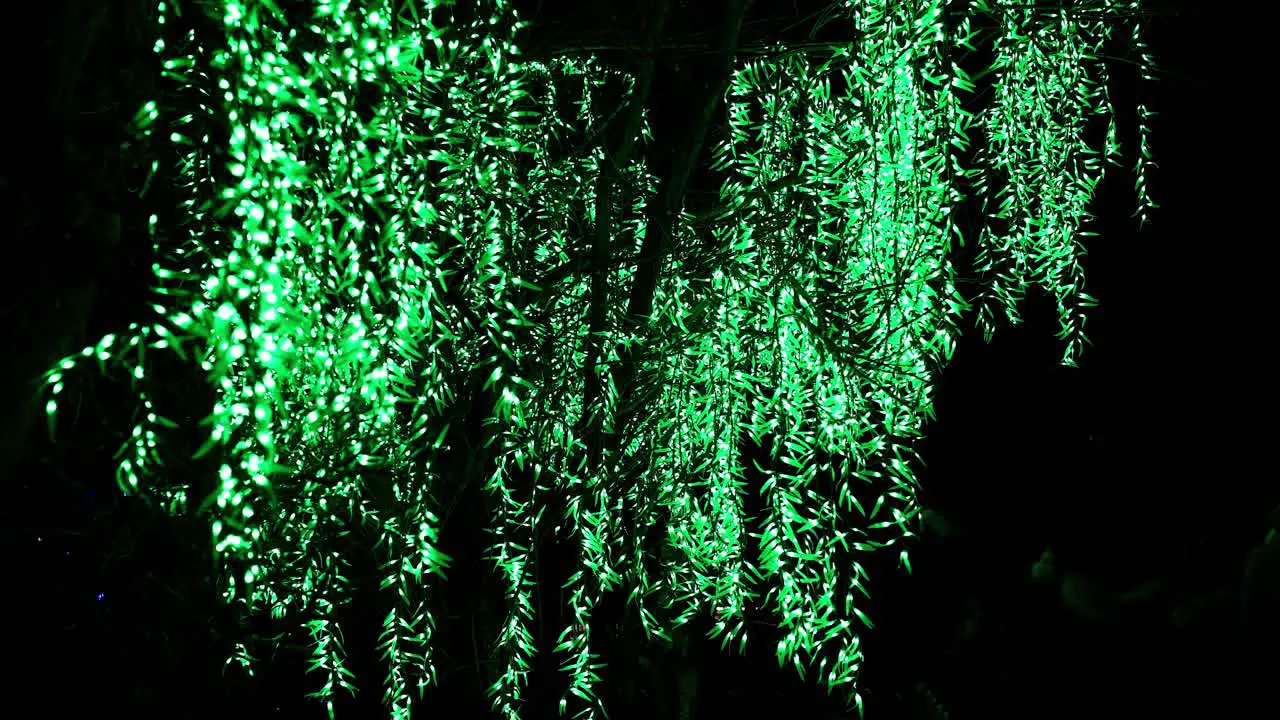 Illuminated tree decoration at Lightopia in Crystal Palace park London