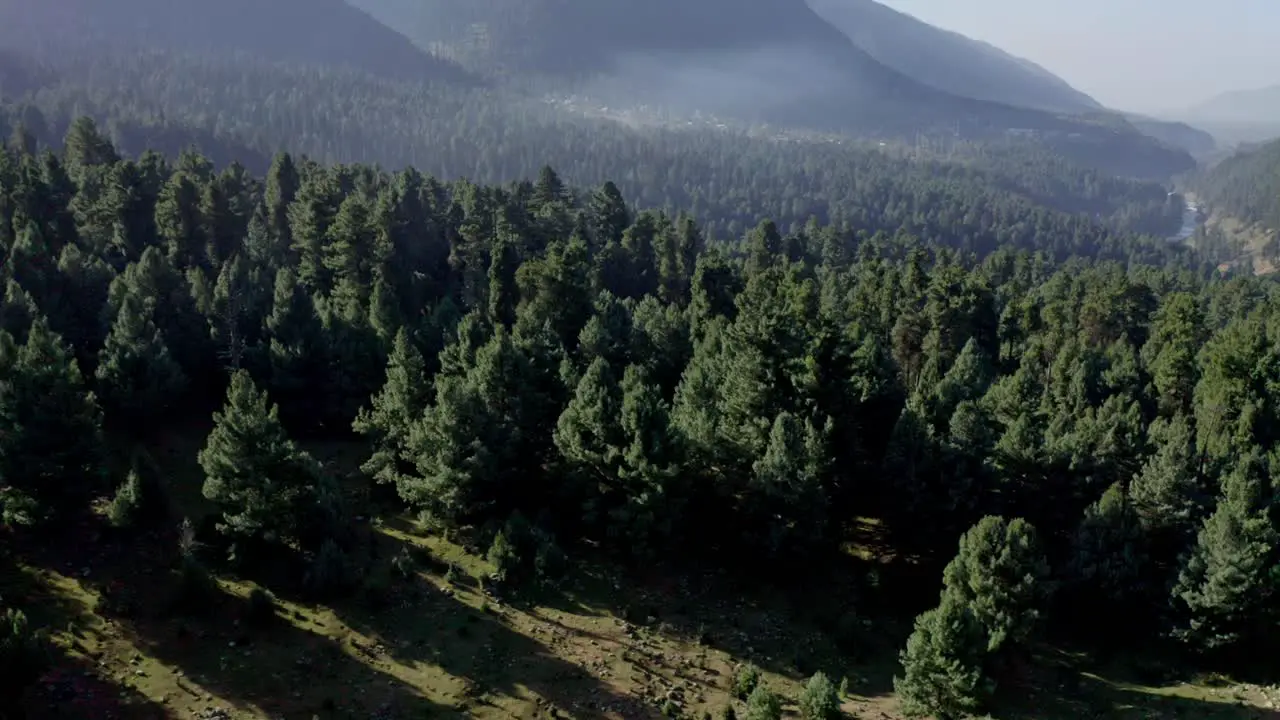 aerial drone view The drone camera is moving downwards where a lot of bushes are visible