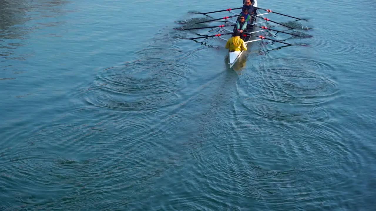 Groupe of rower having a sport time on a sunday morning