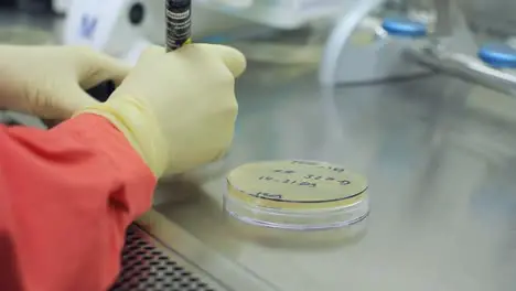 Scientist hand writing on test beakers Hands in gloves working with test tubes