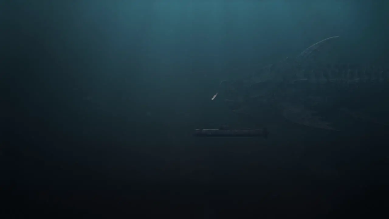 Underwater Shot of a Massive Leviathan of a Fish Swimming Past a Submarine