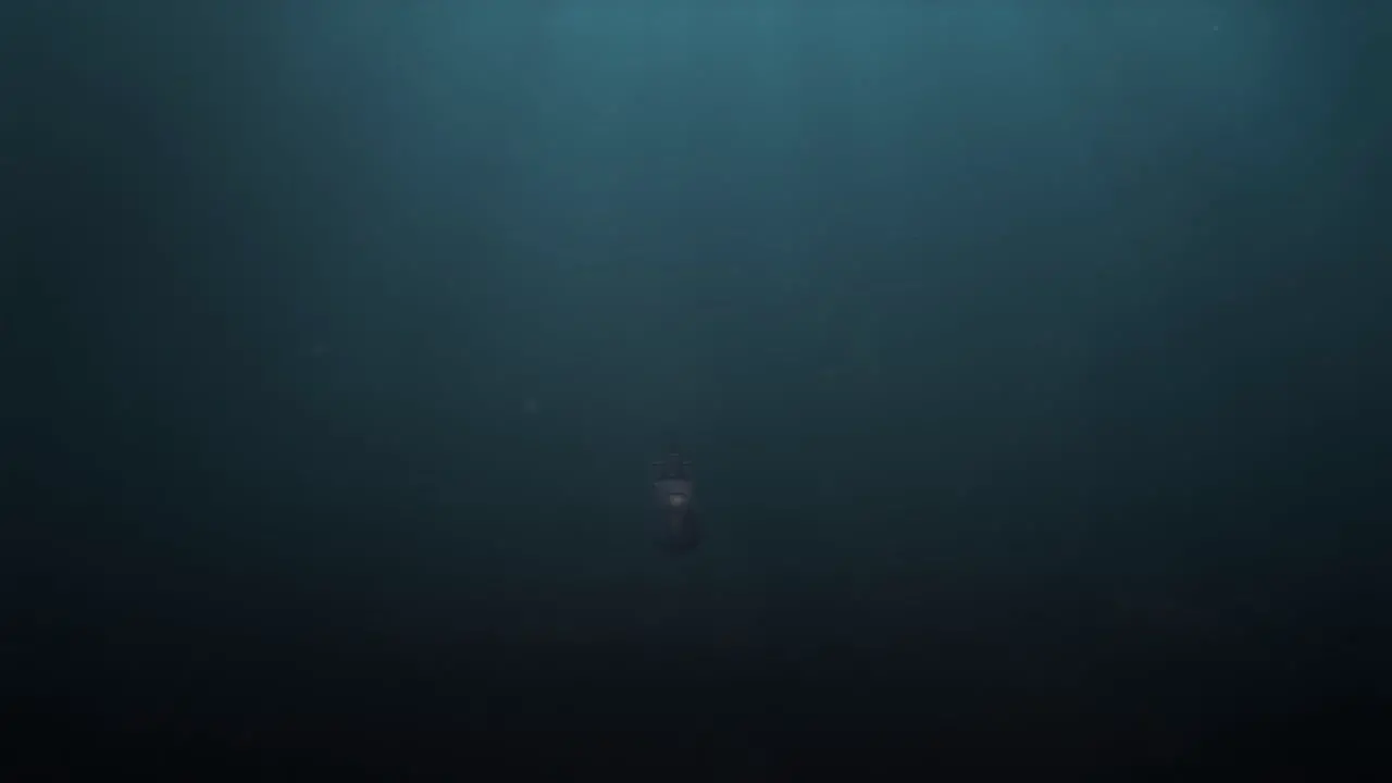 Underwater Shot of a Submarine Being Chased by a Massive Leviathan of a Fish