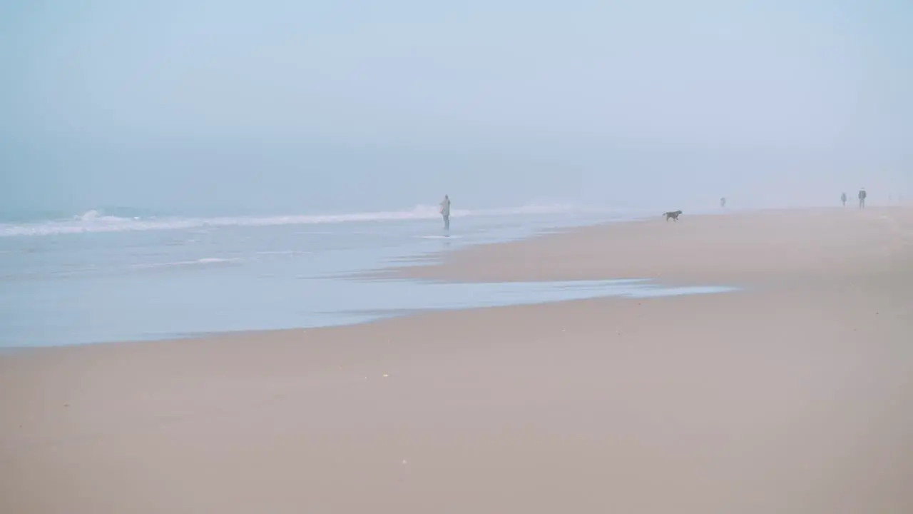 A peaceful misty beach scene with people and a dog running away from the sea