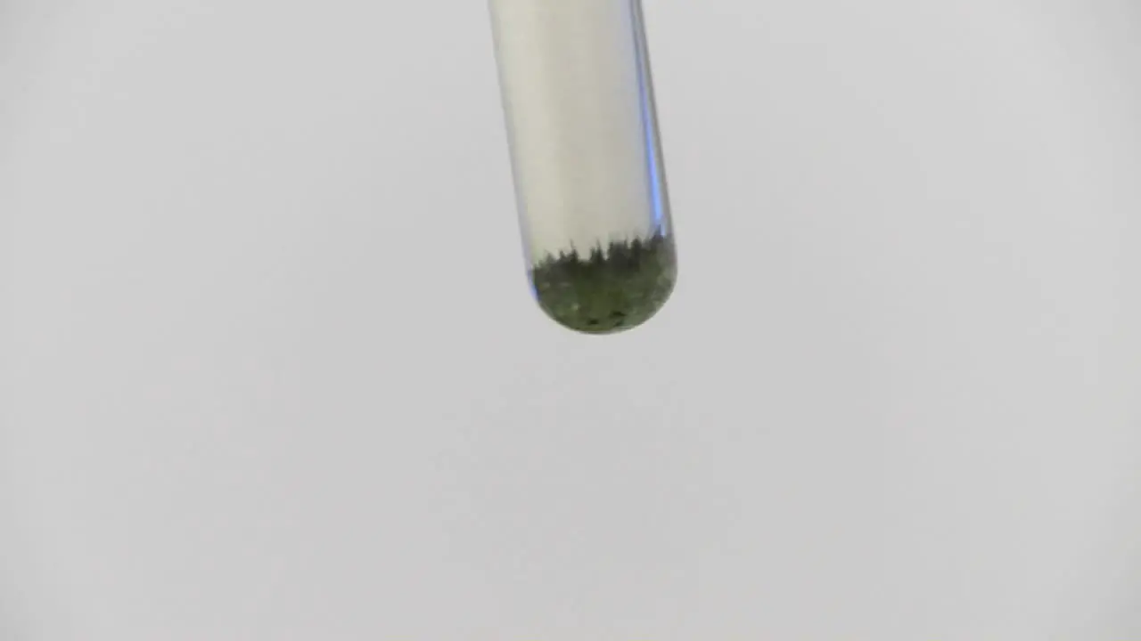 Test tube with green cyanobacteria algae being held before a white wall