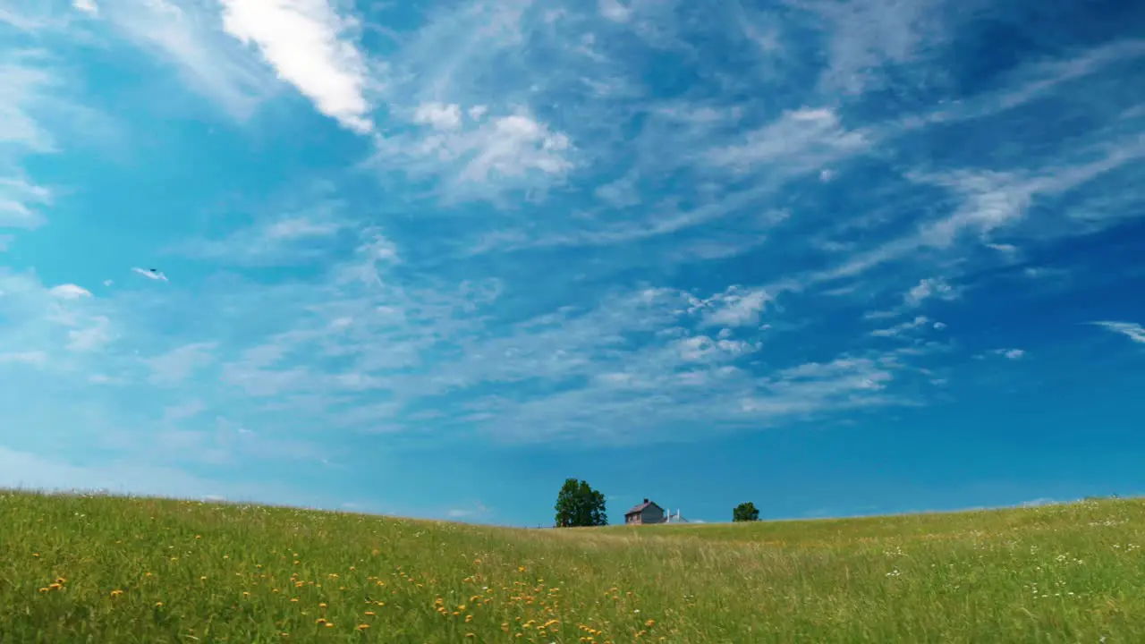 House in the middle of the field