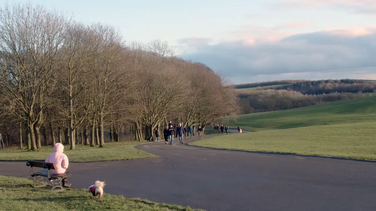 People with dogs walking in a park on a bright cold winters day Temple Newsam Leeds UK England