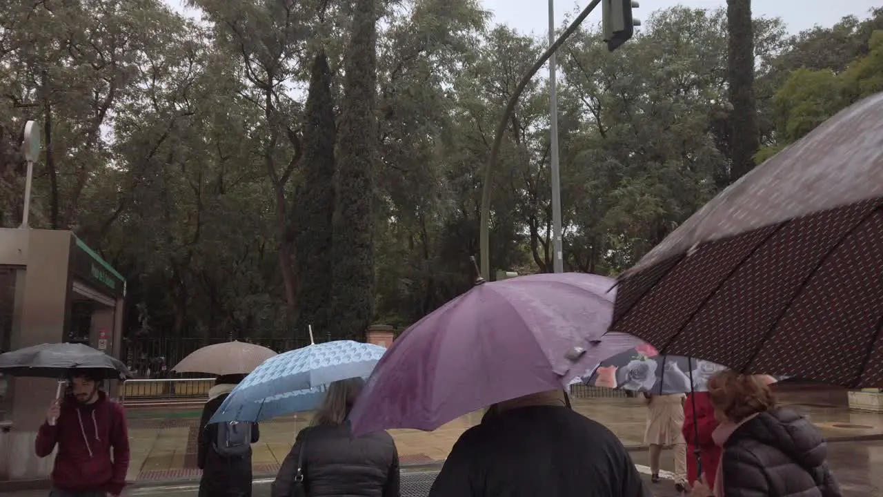 People cross street with umbrellas in rain slowmo seen from behind