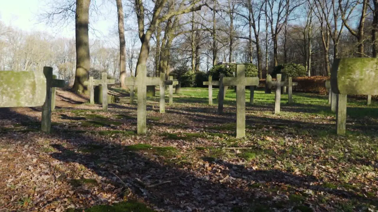 Silent Christian cemetery crosses in the forest smooth dolly in shot