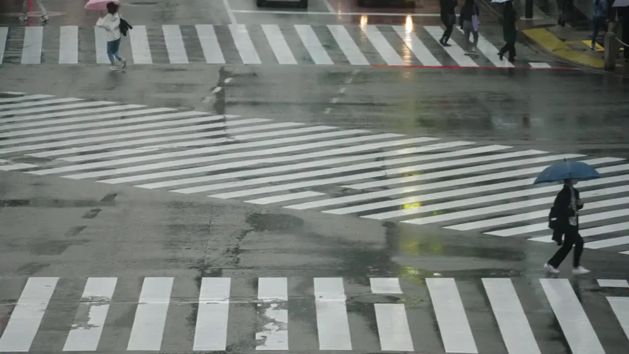 People With Umbrella Running At The Slippery Road Of Shibuya Crossing With Vehicles Driving On A Rainy Day In Tokyo Japan