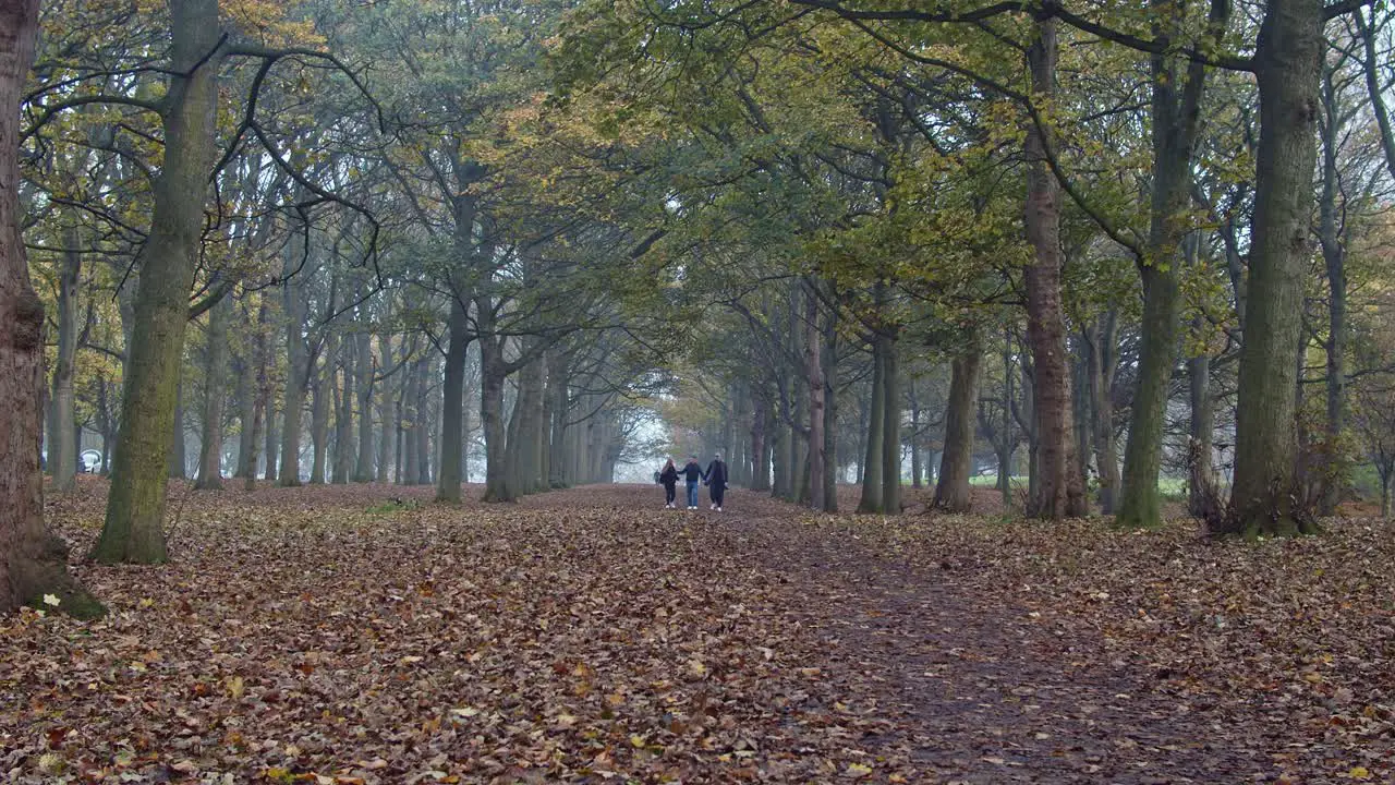 People stroll in park during autumn foliage season