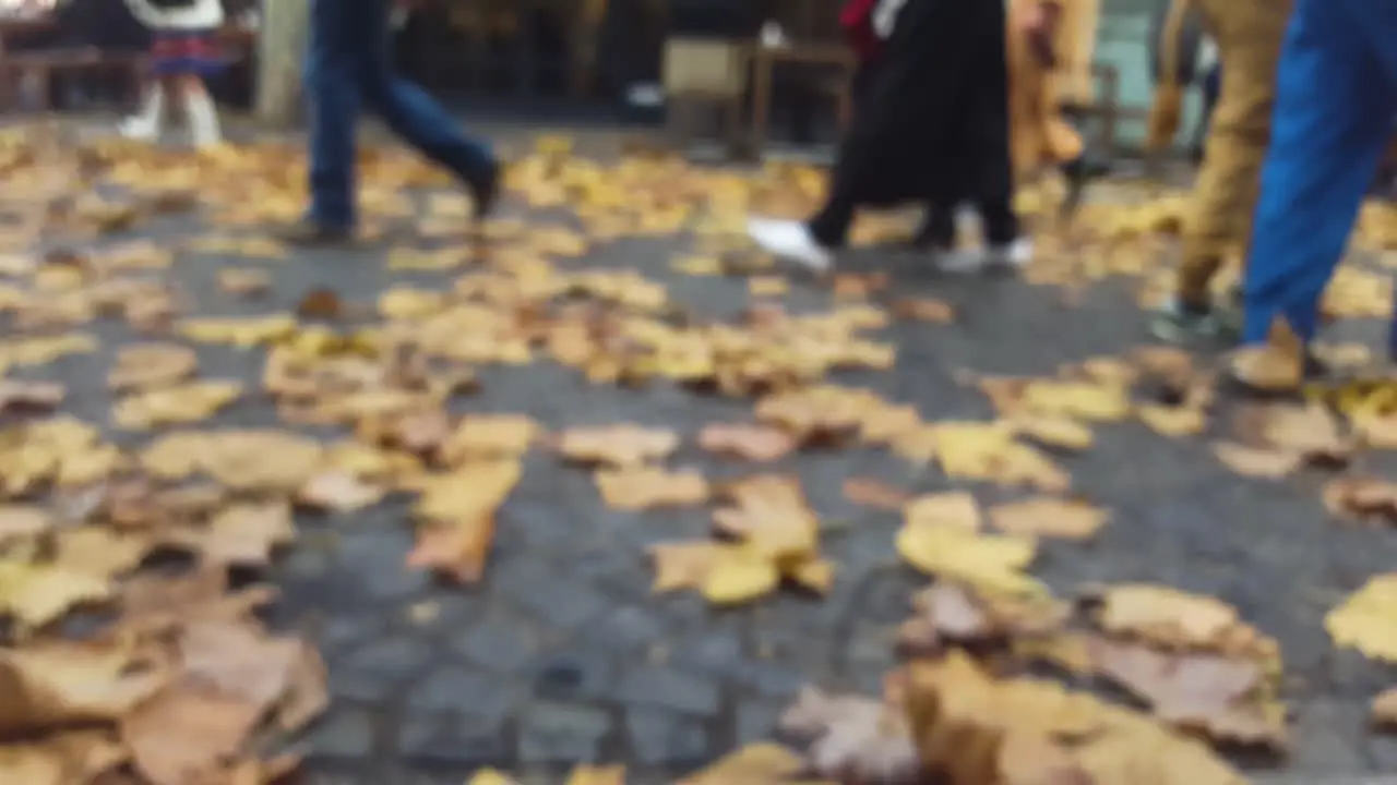 Out of focus legs walking by autumn season in Mainz