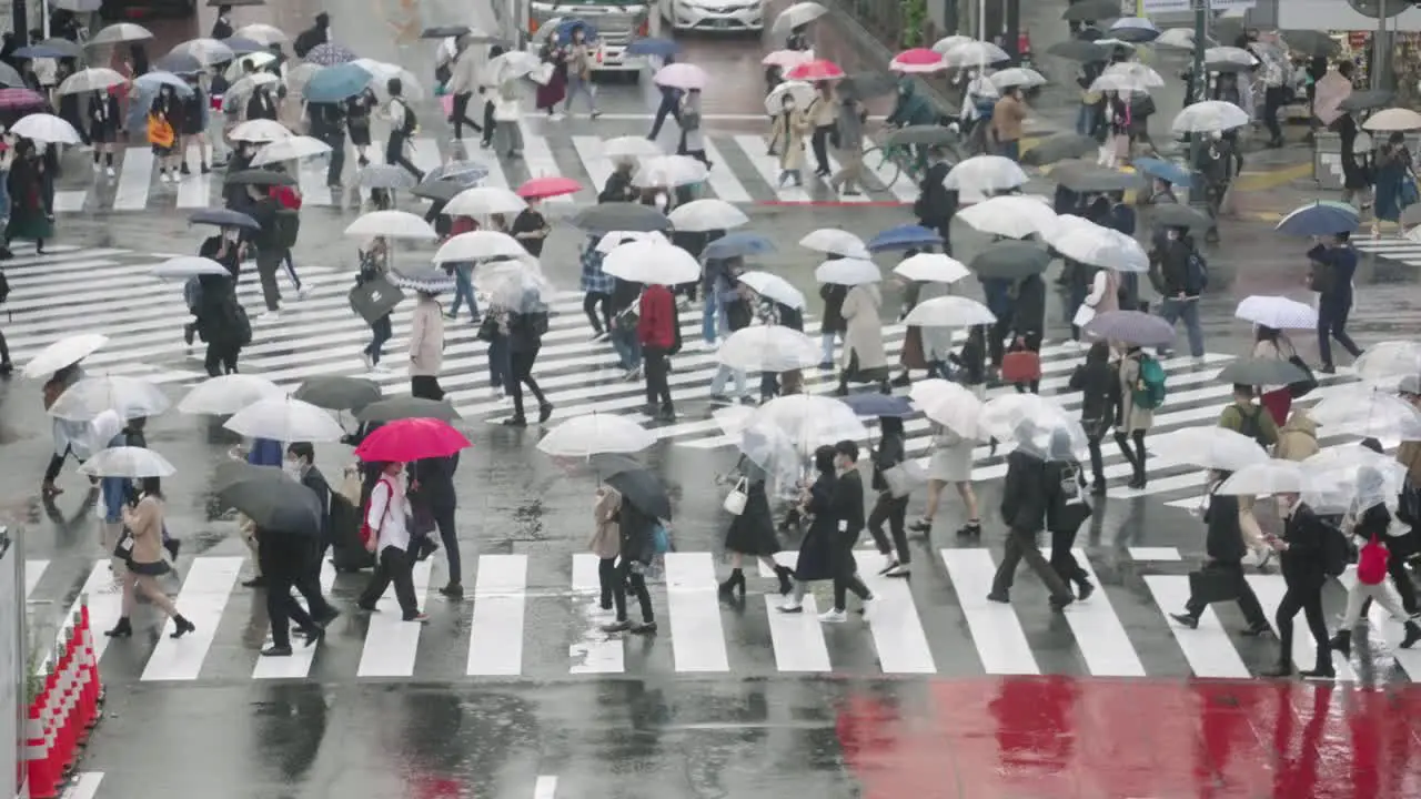 Slow Motion Of City People With Umbrellas Crossing On The Road On A Rainy Weather Shibuya Crossing In Tokyo tele shot