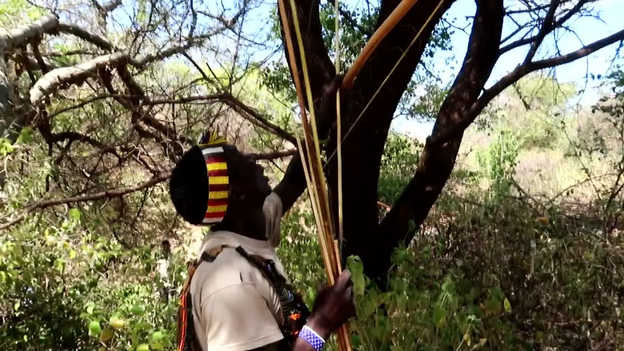 African Hadzabe tribe family hunting in group with bows and arrows in the savannah