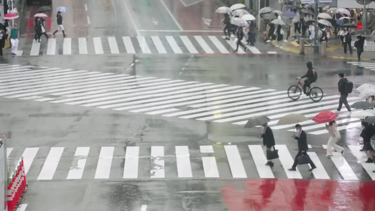 World's Busiest Crosswalk Asian People Holding Umbrellas Up And Crossing The Wet Road On A Rainy Day At The Famous Shibuya Crossing In Tokyo Japan