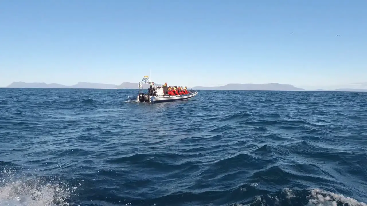 inflatable boat searching for whales in reykjavík