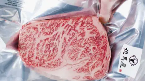 Overhead Shot of a Wagyu Steak 