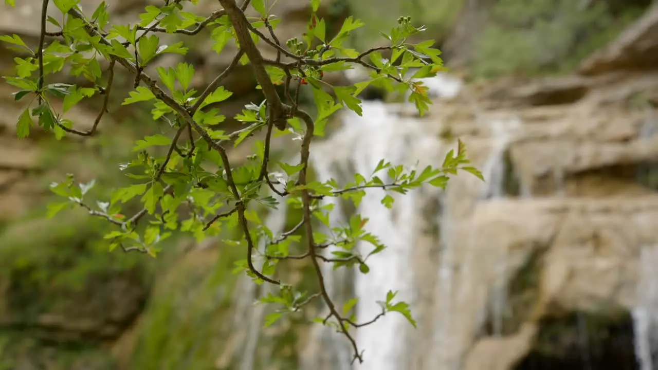 Selective focus handheld shot of tree branches with defocused waterfalls in the background along the Route of the seven pools Catalonia Spain Ruta dels Set Gorgs de Campdevànol