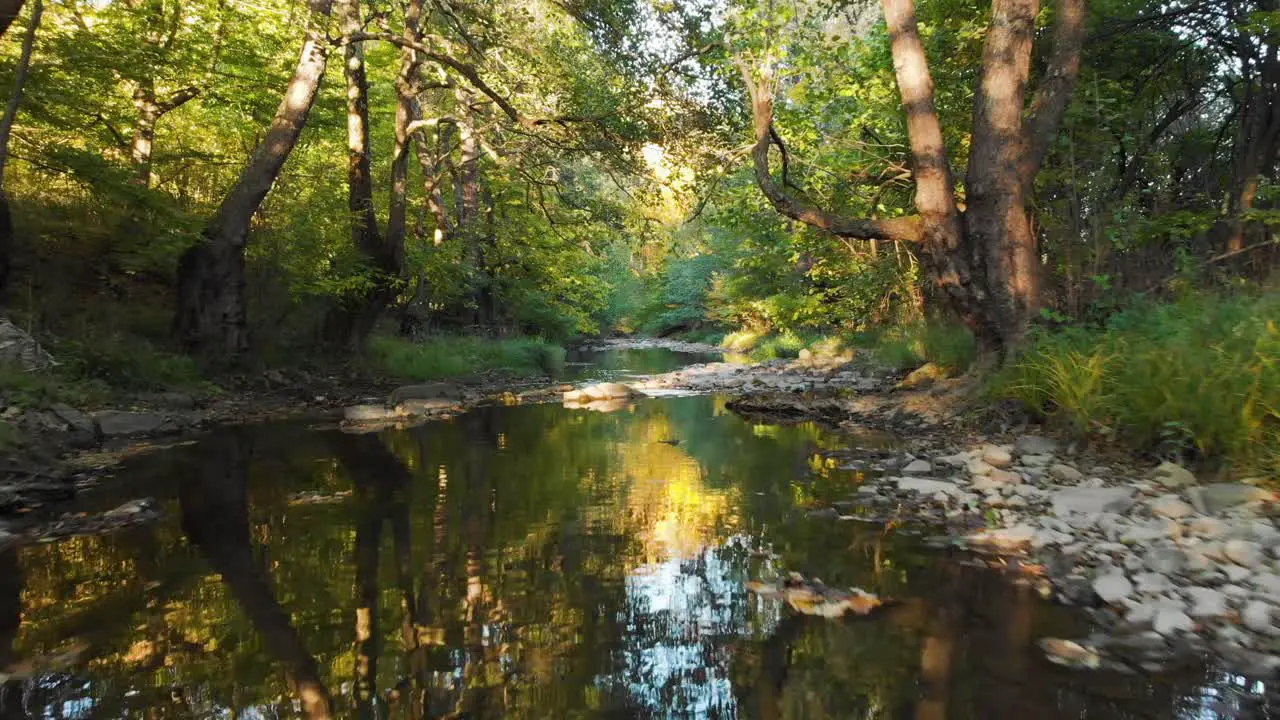 Low drone flight over small river at sunset