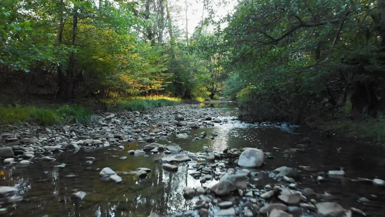 Low drone speed flight over small river at sunset-2