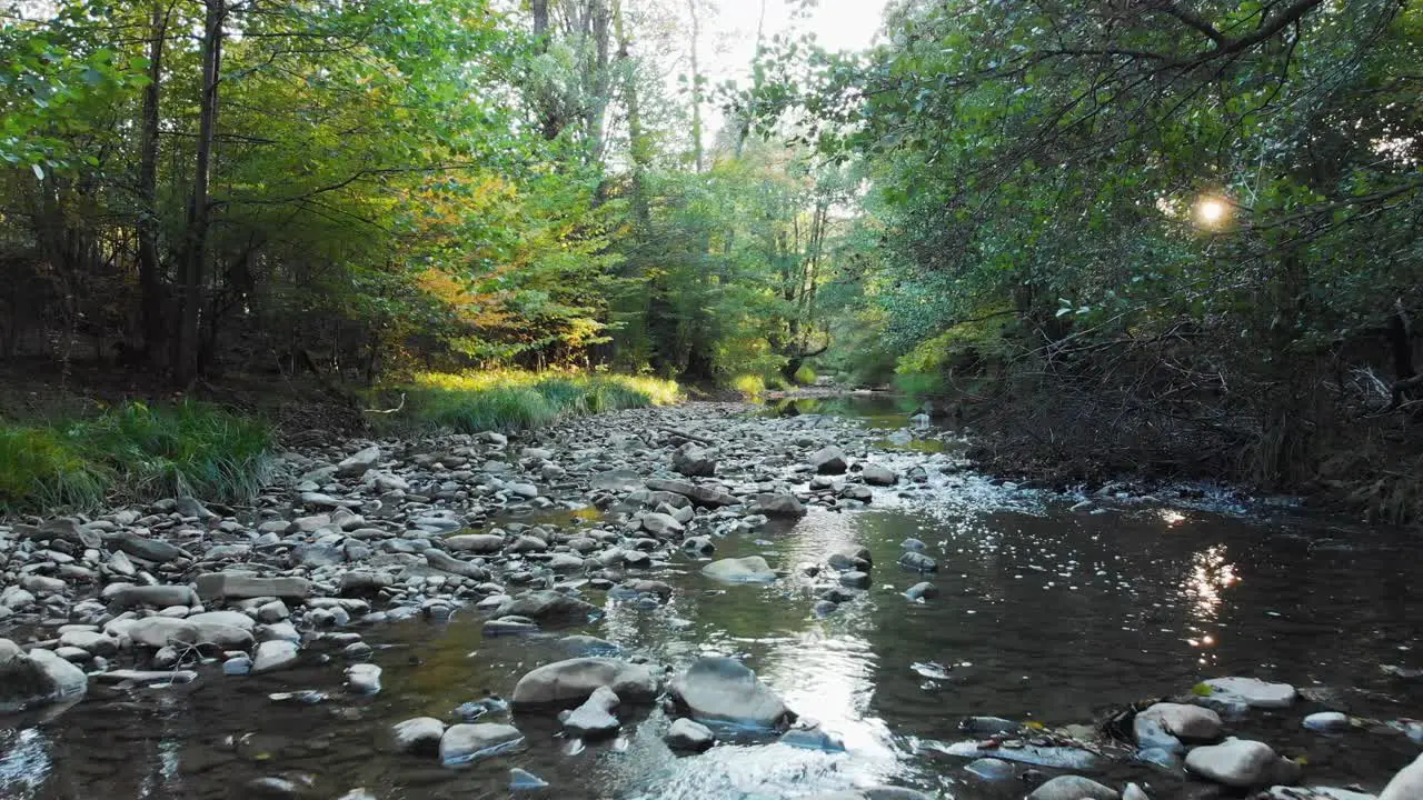 Low drone flight over small river at sunset-3