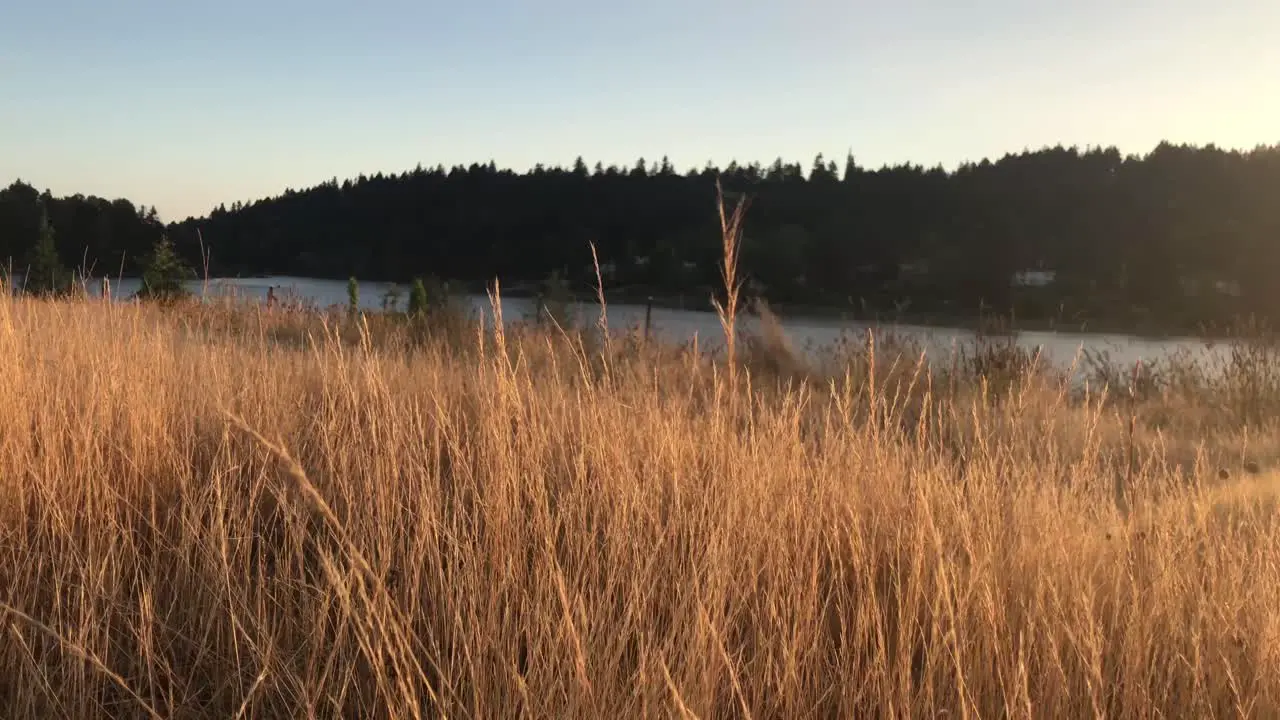 An orange sunset over a river seen from a grassy hill in a park