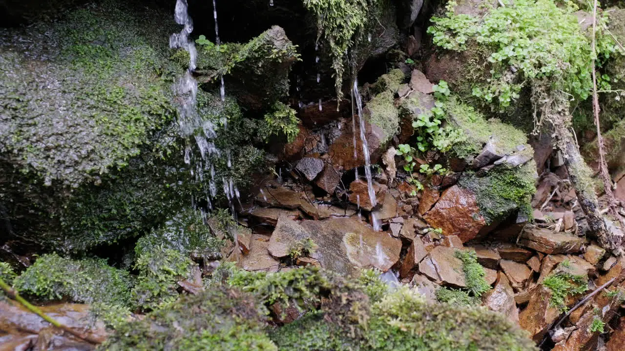 Water flowing over moss stones