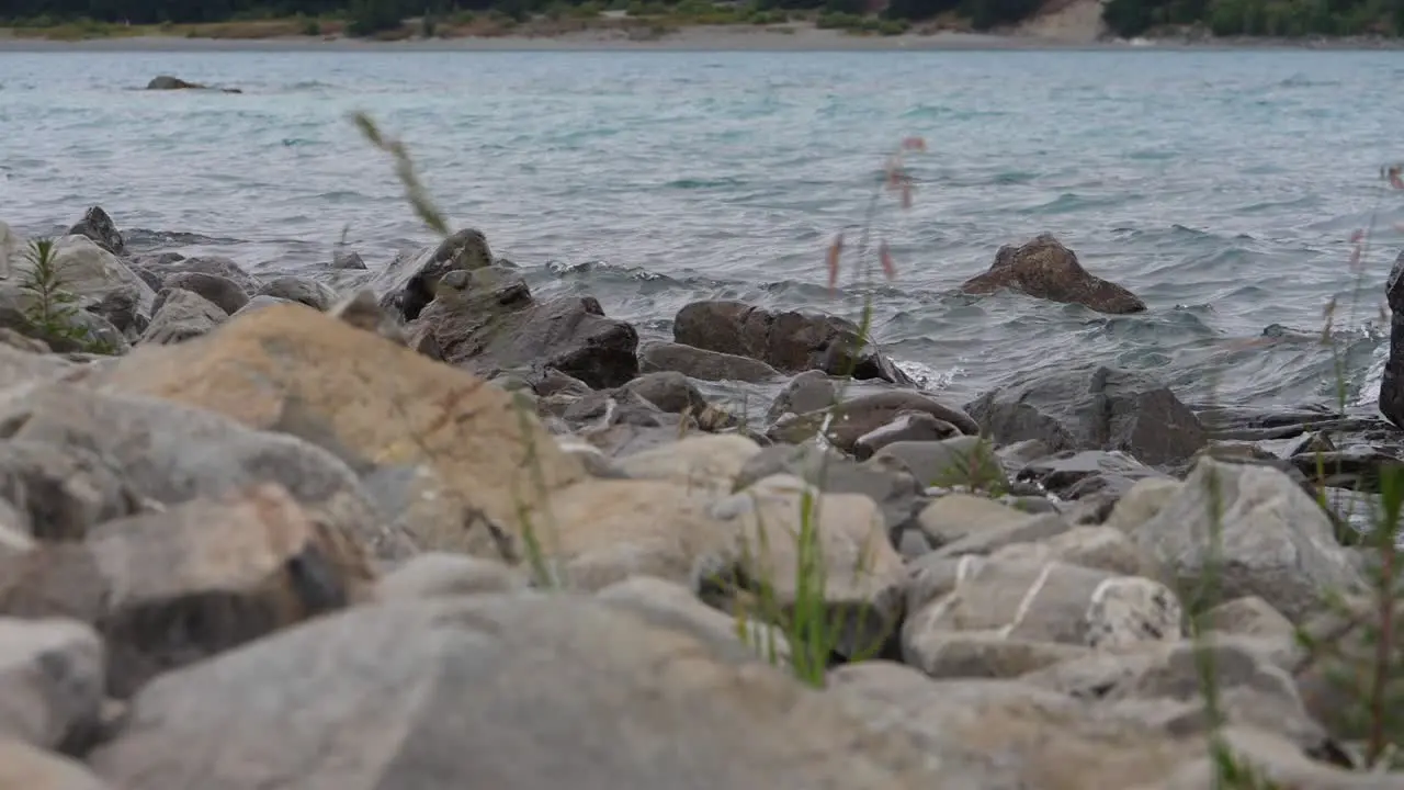 Waves on a Shoreline