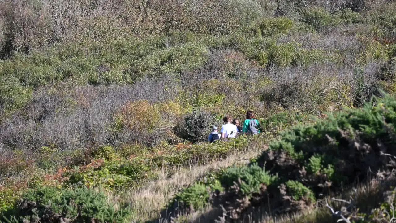 people in the distance walking with bushy vegetation english south coast dorset