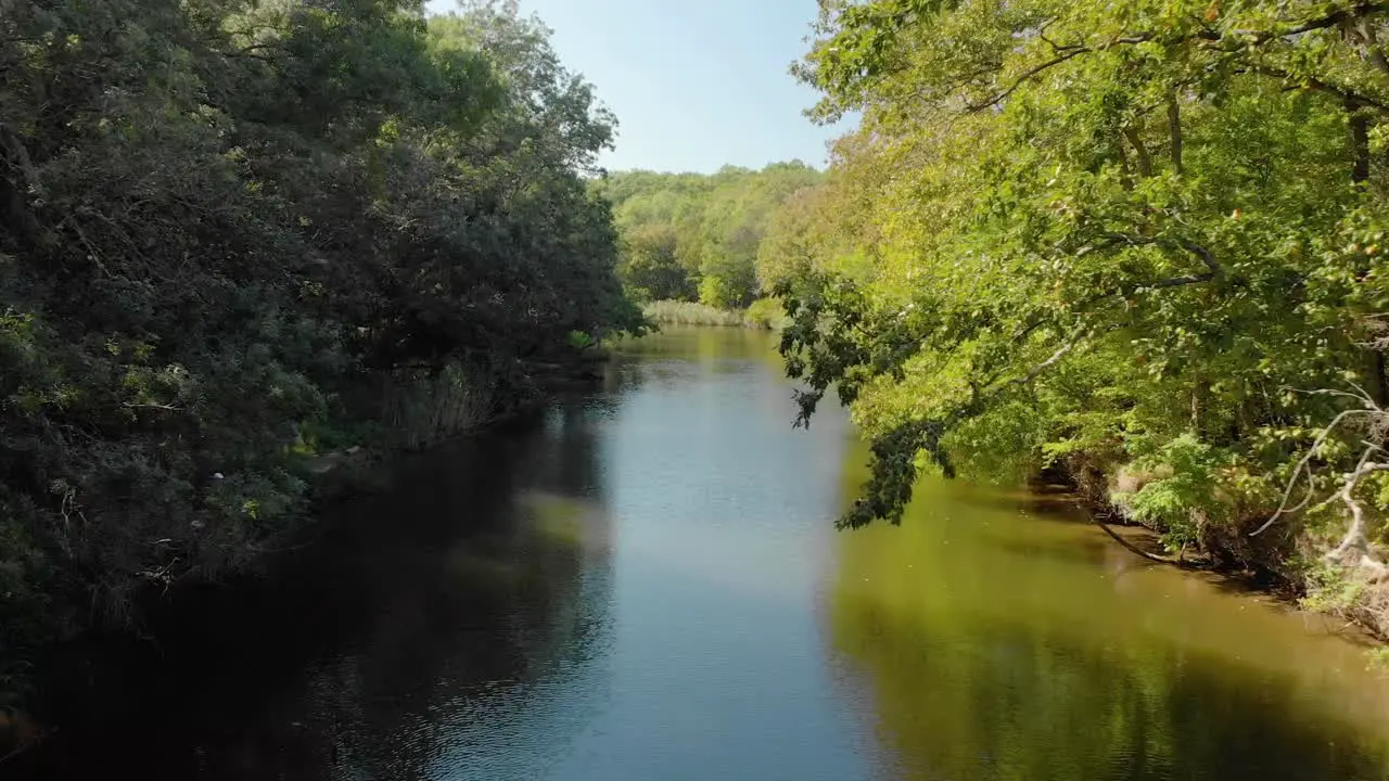 Aerial low shot with drone fly over river between trees in summer day-3