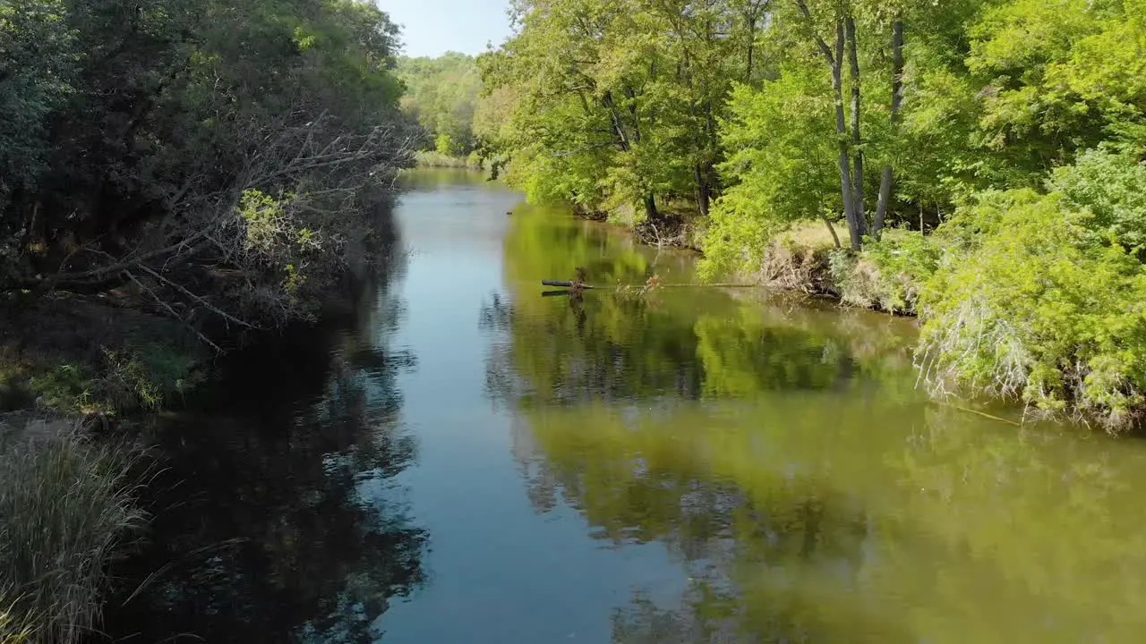 Aerial low shot with drone fly over river between trees in summer day-2