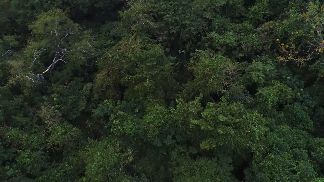 Aerial view of the Morogoro rock garden-16