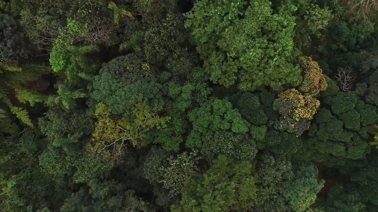 Aerial view of the Morogoro rock garden-10