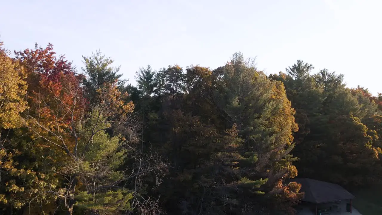 Drone rising over an empty parking lot to show the golden Autumn colors in Grand Haven MI